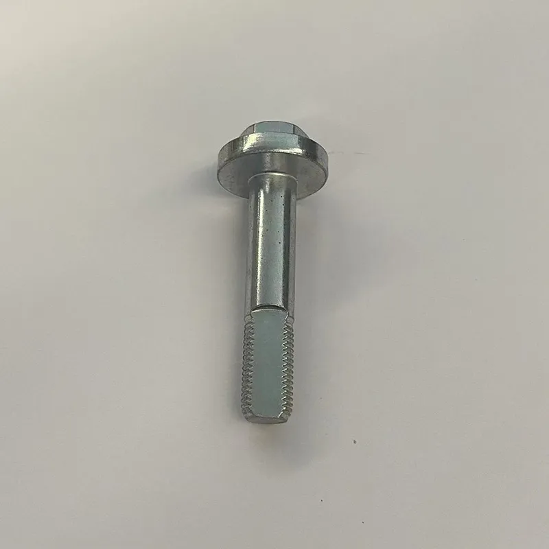 Эксцентричный болт 8450026872 (1)