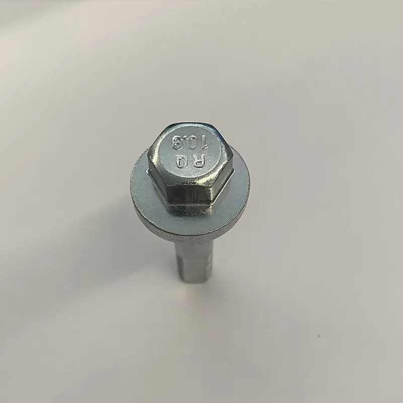 Эксцентричный болт 8450026872 (2)