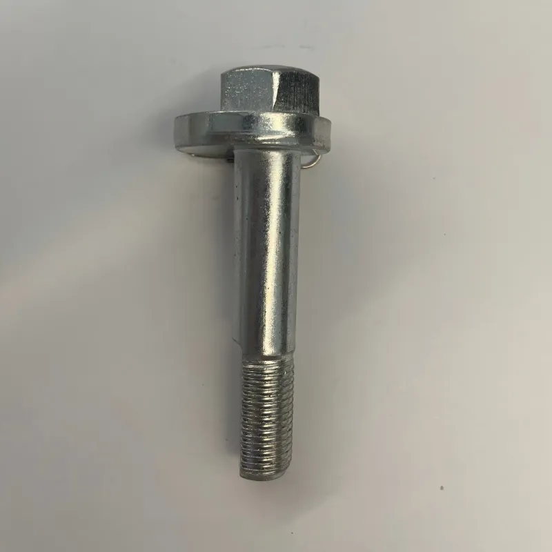 Эксцентричный болт 8450026872 (3)